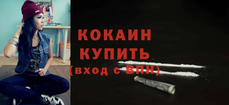 где купить наркотик  Жиздра  Cocaine Эквадор 